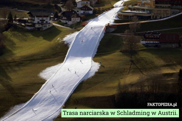 
    Trasa narciarska w Schladming w Austrii.