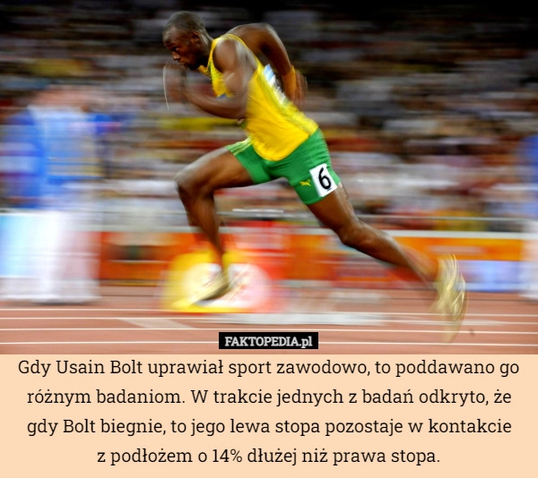 
    Gdy Usain Bolt uprawiał sport zawodowo, to poddawano go różnym badaniom.