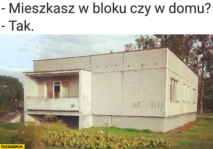 
    Mieszkasz w bloku czy w domu? Tak
