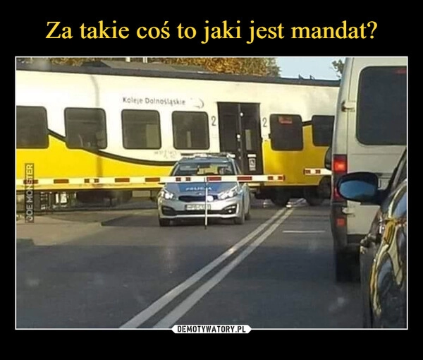 
    Za takie coś to jaki jest mandat? 