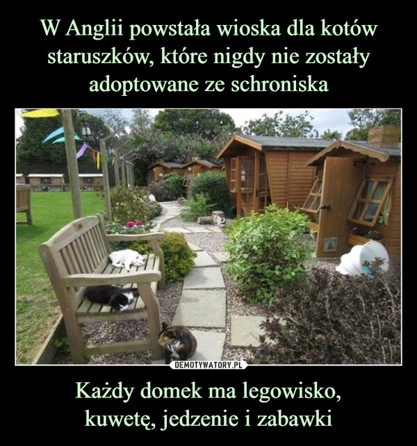 
    W Anglii powstała wioska dla kotów staruszków, które nigdy nie zostały adoptowane ze schroniska Każdy domek ma legowisko,
kuwetę, jedzenie i zabawki