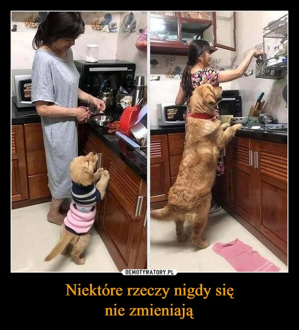 
    Niektóre rzeczy nigdy się nie zmieniają
