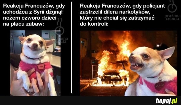 
    Różne podejście