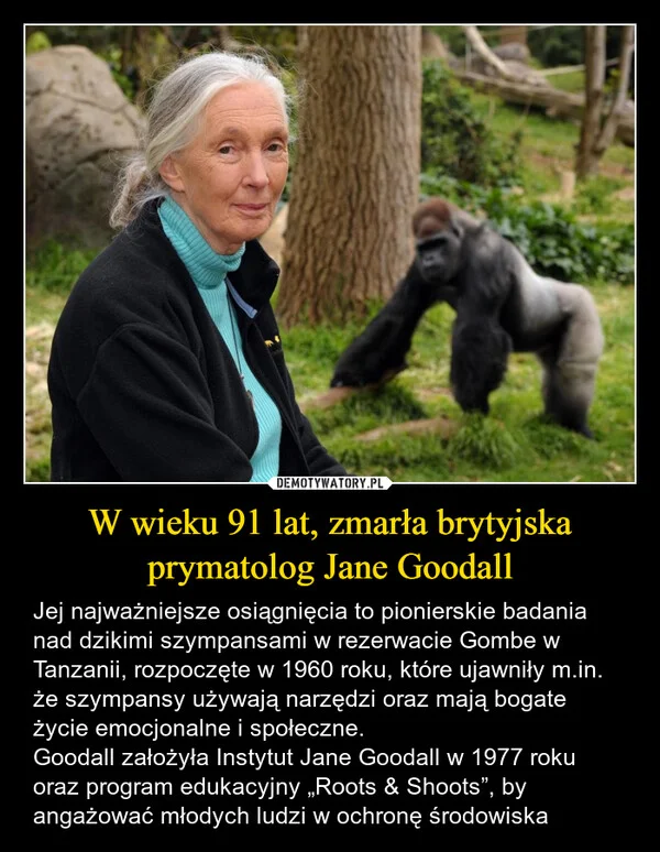 
    W wieku 91 lat, zmarła brytyjska prymatolog Jane Goodall
