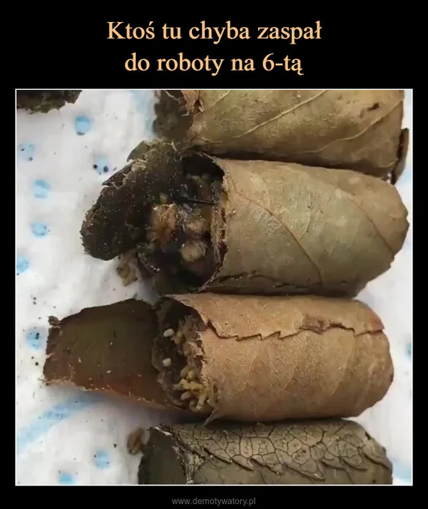 Ktoś tu chyba zaspał do roboty na 6-tą