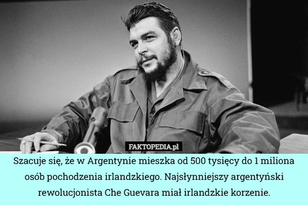 
    Szacuje się, że w Argentynie mieszka od 500 tysięcy do 1 miliona osób pochodzenia