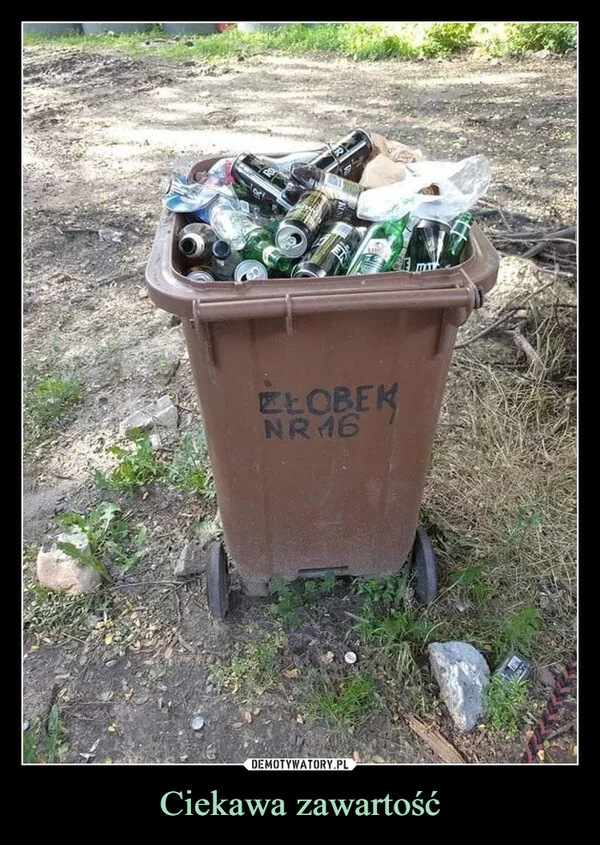 
    Ciekawa zawartość