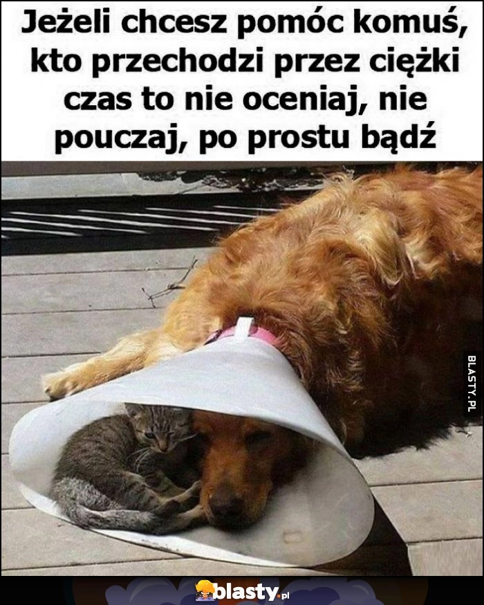 
    Jeżeli chcesz pomóc komuś kto przechodzi przez ciężki czas to nie oceniaj, nie pouczaj, po prostu bądź