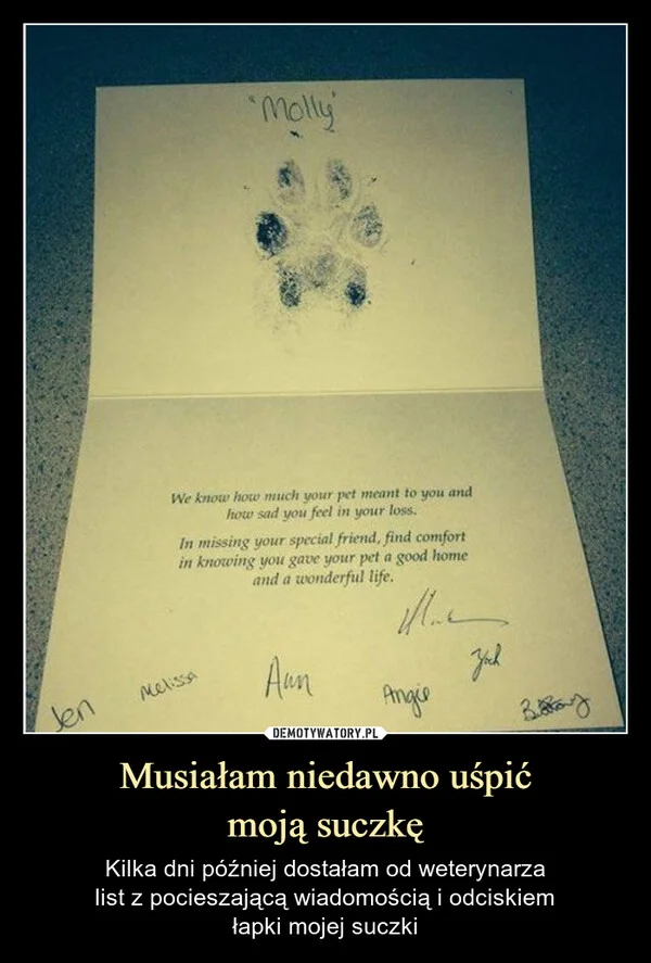 
    Musiałam niedawno uśpić moją suczkę