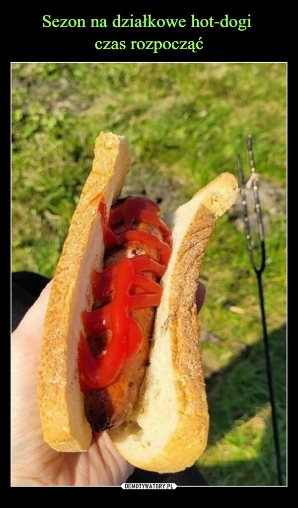 
    Sezon na działkowe hot-dogi 
czas rozpocząć