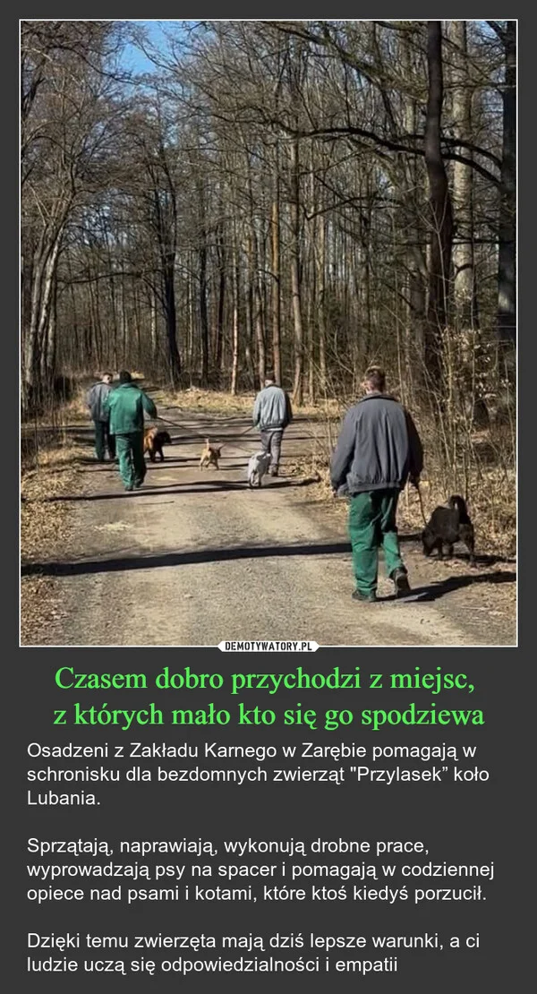 
    Czasem dobro przychodzi z miejsc, z których mało kto się go spodziewa