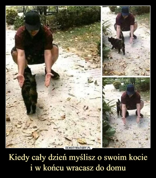
    Kiedy cały dzień myślisz o swoim kocie i w końcu wracasz do domu