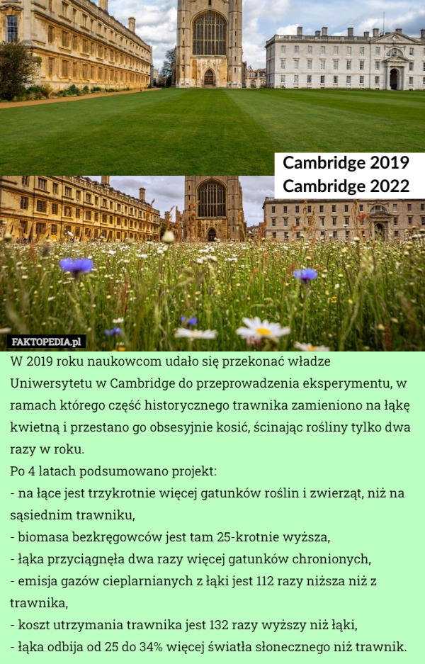 
    W 2019 roku naukowcom udało się przekonać władze Uniwersytetu w Cambridge