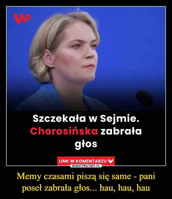 Memy czasami piszą się same - pani poseł zabrała głos... hau, hau, hau