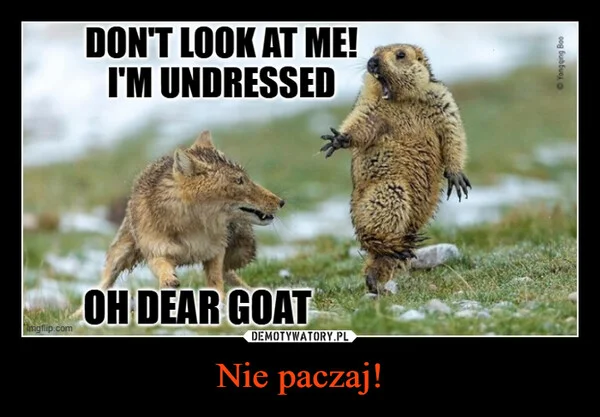 
    Nie paczaj!