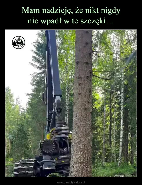 Mam nadzieję, że nikt nigdy nie wpadł w te szczęki…