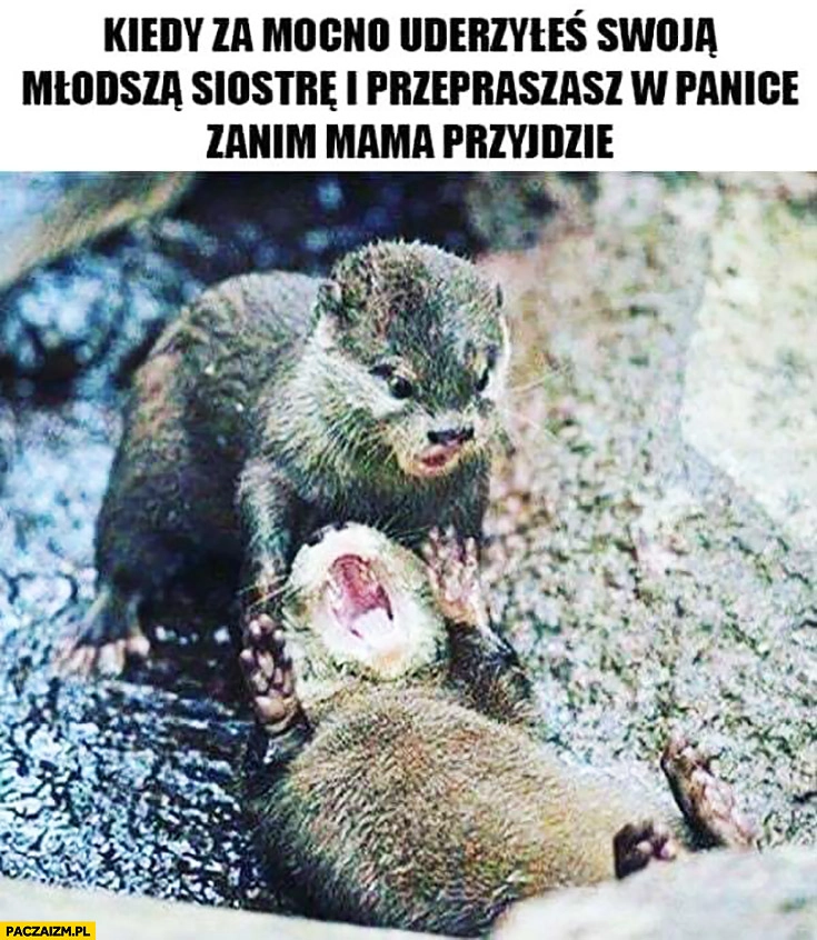 
    Kiedy za mocno uderzyłeś swoja młodszą siostrę i przepraszasz w panice zanim mama przyjdzie