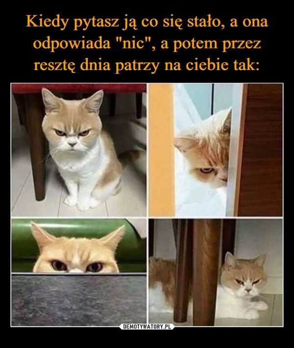 
    Kiedy pytasz ją co się stało, a ona odpowiada 