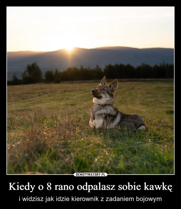 
    Kiedy o 8 rano odpalasz sobie kawkę