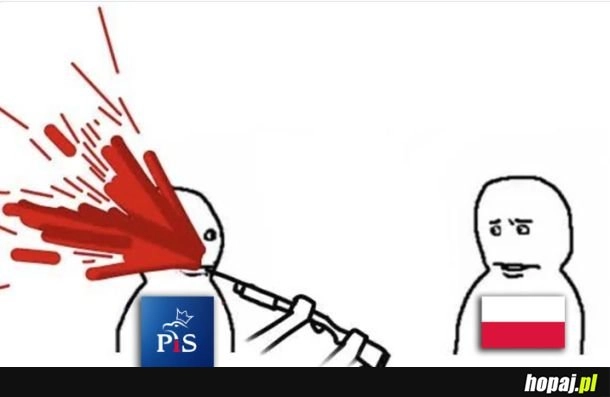 
    Tymczasem PIS