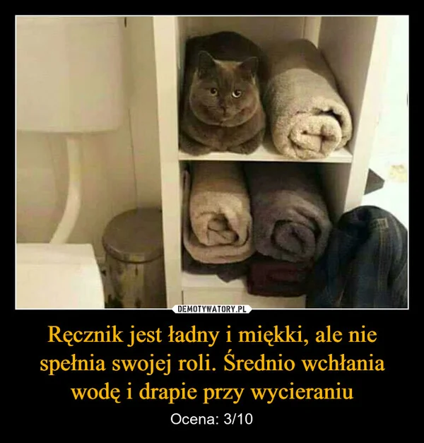 
    Ręcznik jest ładny i miękki, ale nie spełnia swojej roli. Średnio wchłania wodę i drapie przy wycieraniu