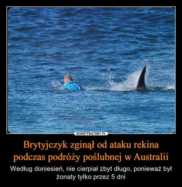 
    Brytyjczyk zginął od ataku rekina podczas podróży poślubnej w Australii