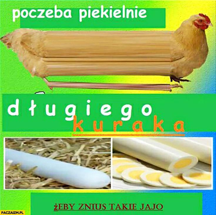 Potrzeba piekielnie długiego kuraka żeby zniósł takie jajko
