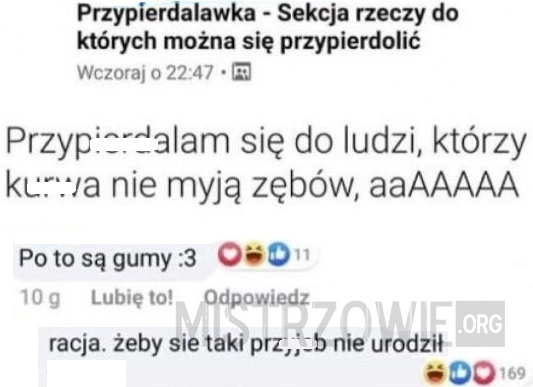 
    Zęby