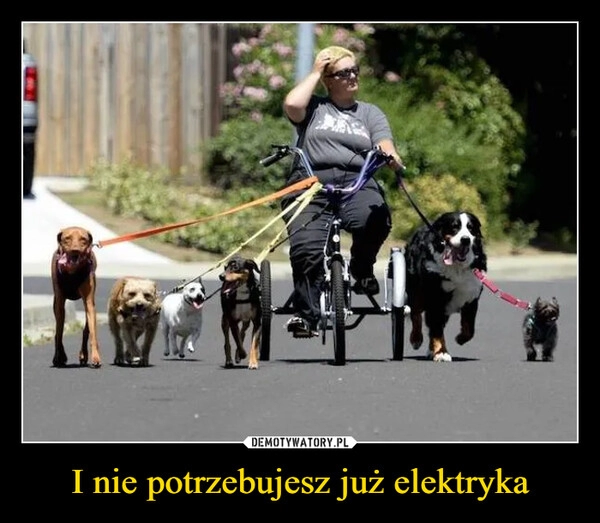 
    I nie potrzebujesz już elektryka