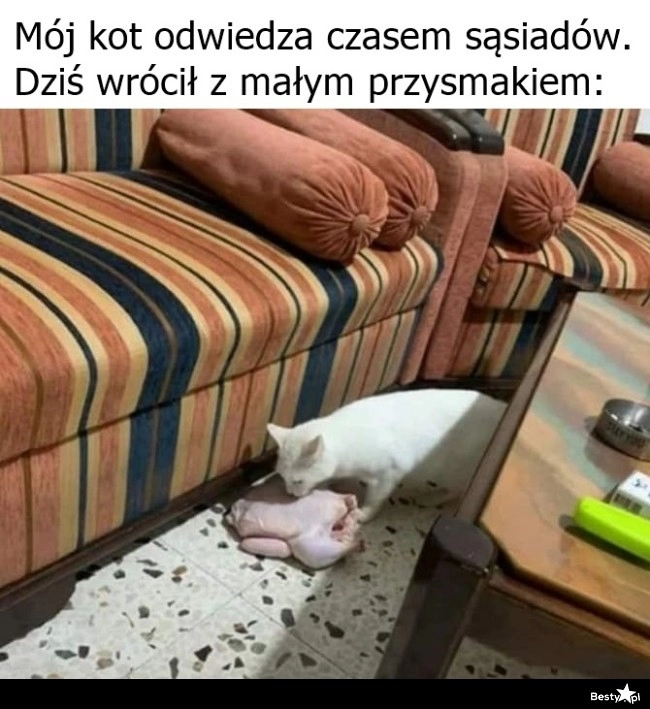 
    Odwiedziny u sąsiadów 