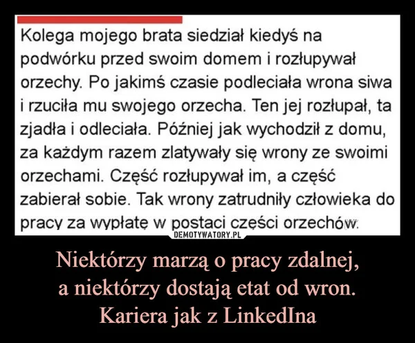 
    Niektórzy marzą o pracy zdalnej, a niektórzy dostają etat od wron. Kariera jak z LinkedIna
