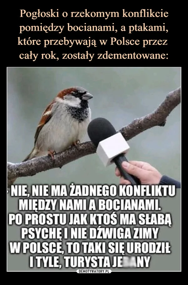 
    Pogłoski o rzekomym konflikcie pomiędzy bocianami, a ptakami, które przebywają w Polsce przez cały rok, zostały zdementowane: