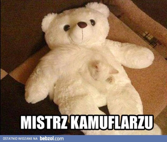 
    Mistrz kamuflażu