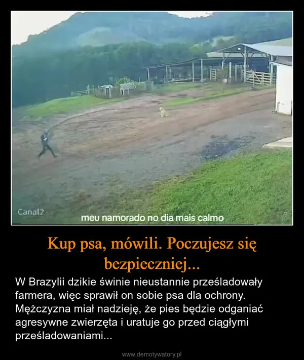 
    Kup psa, mówili. Poczujesz się bezpieczniej...