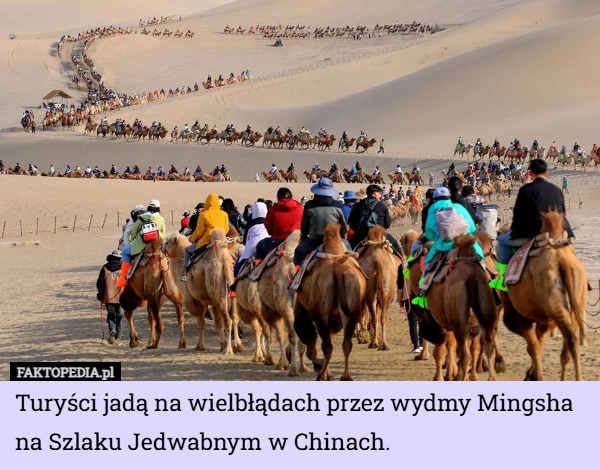 
    Turyści jadą na wielbłądach przez wydmy Mingsha na Szlaku Jedwabnym w Chinach.