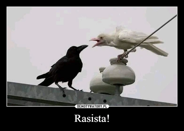 
    Rasista!