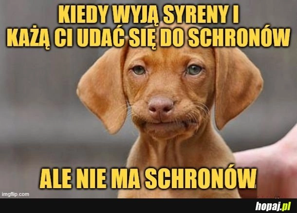 
    Schron.