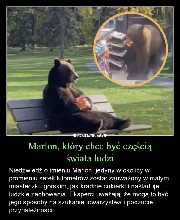 
    Marlon, który chce być częścią świata ludzi