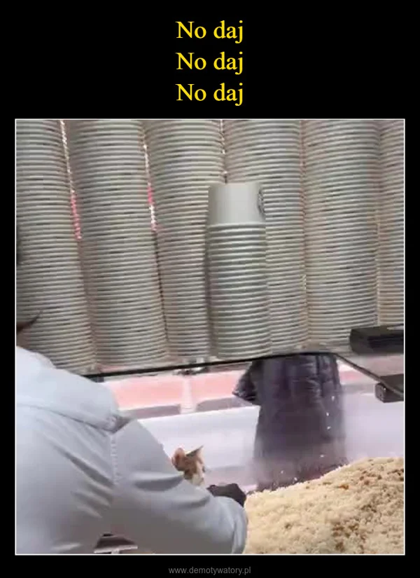 
    No daj No daj No daj