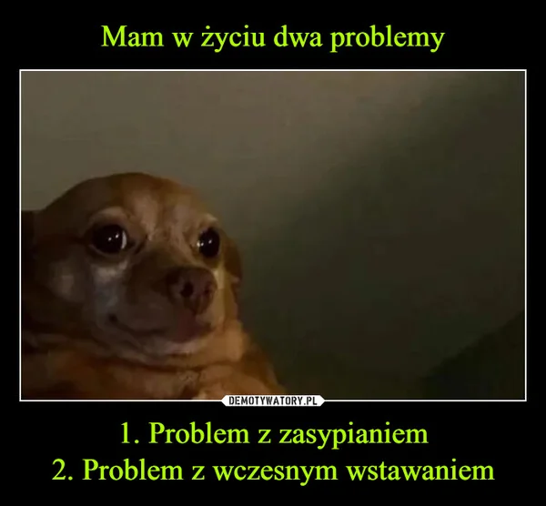 
    Mam w życiu dwa problemy 1. Problem z zasypianiem 2. Problem z wczesnym wstawaniem