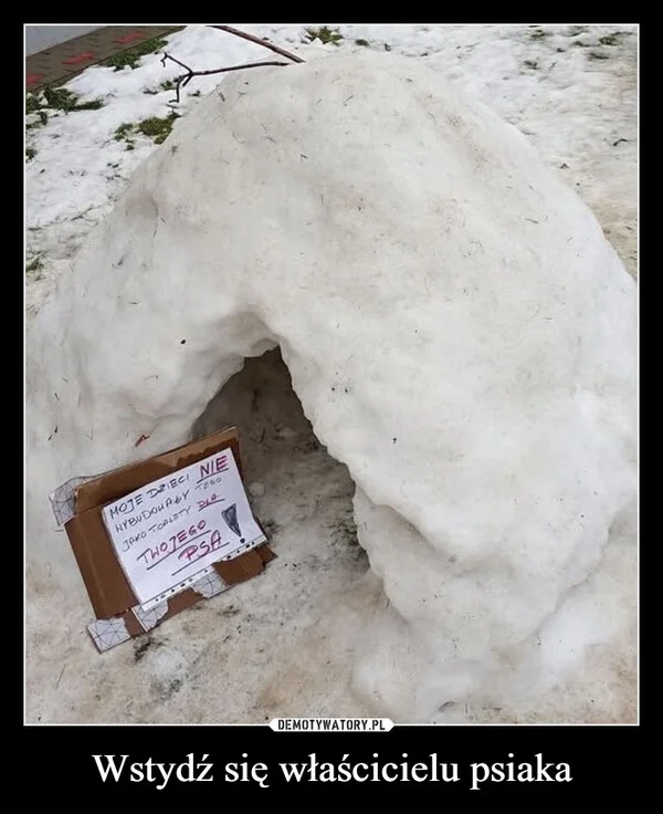 
    Wstydź się właścicielu psiaka