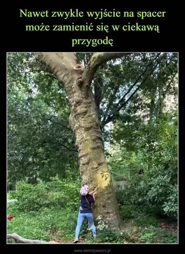 
    Nawet zwykle wyjście na spacer może zamienić się w ciekawą przygodę