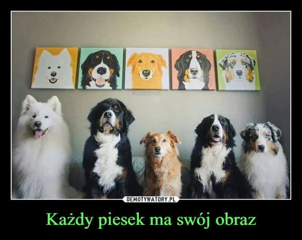 
    Każdy piesek ma swój obraz