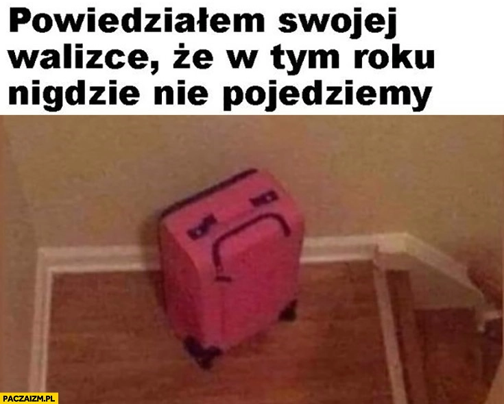 
    Powiedziałem swojej walizce, że w tym roku nigdzie nie pojedziemy smutna mina