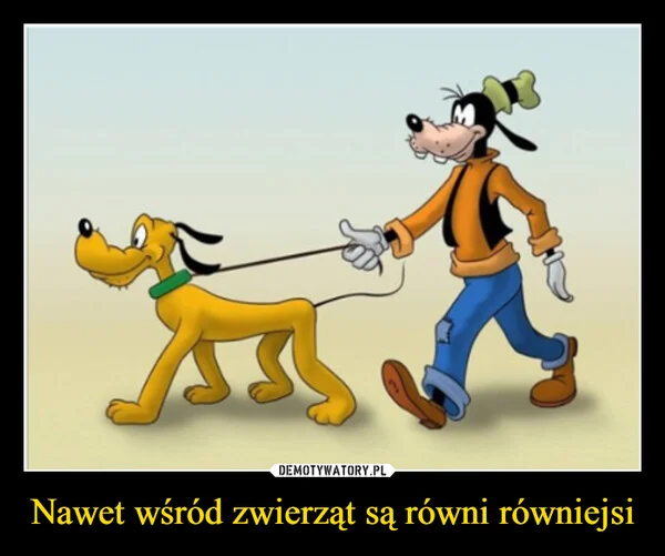 
    Nawet wśród zwierząt są równi równiejsi