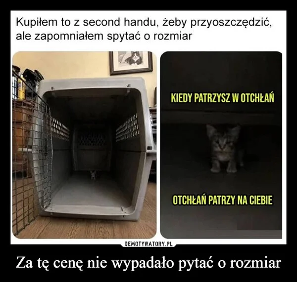 Za tę cenę nie wypadało pytać o rozmiar