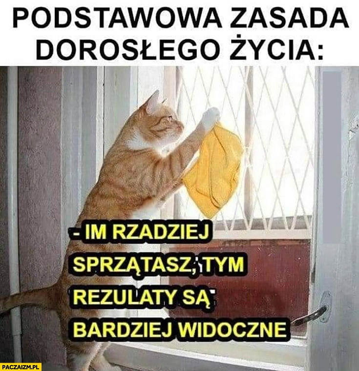 
    Kot podstawowa zasada dorosłego życia im rzadziej sprzątasz tym rezultaty są bardziej widoczne