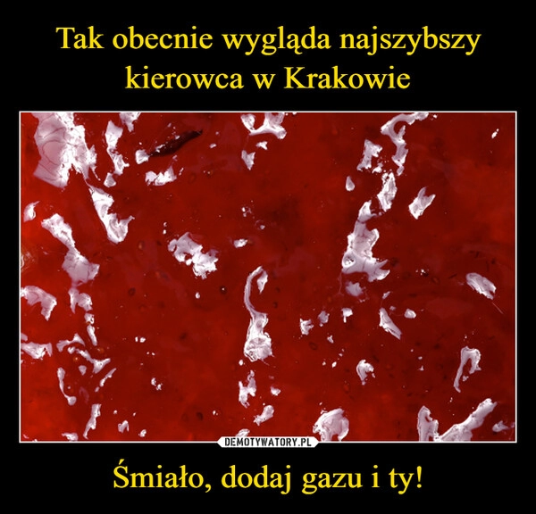 
    Tak obecnie wygląda najszybszy kierowca w Krakowie Śmiało, dodaj gazu i ty!