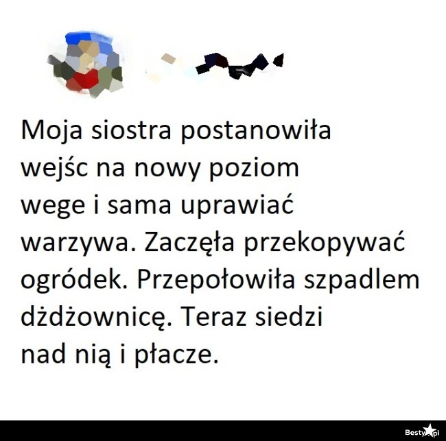 
    Nowy poziom wege 