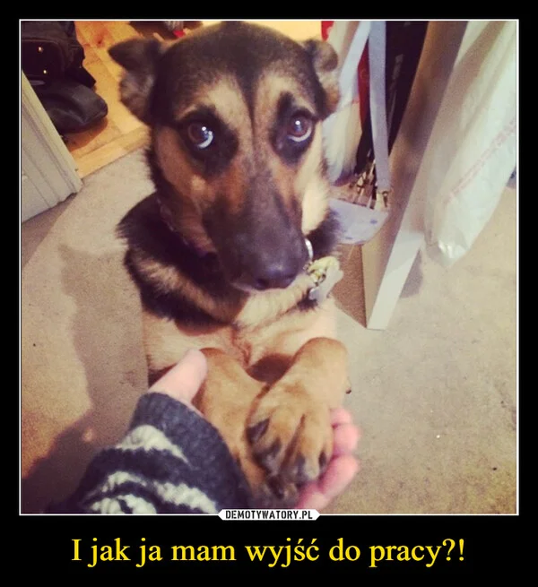 
    I jak ja mam wyjść do pracy?!
